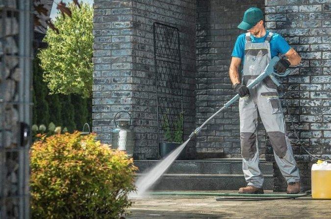 Maids in Virginia