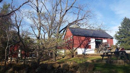 Willowcroft Farm Vineyards