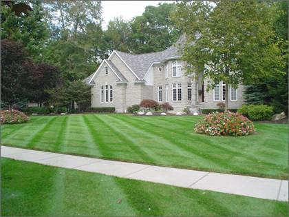 WC Landscape LLC