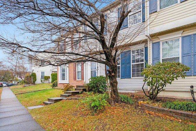 Casey Zobrist, Pearson Smith Realty, LLC