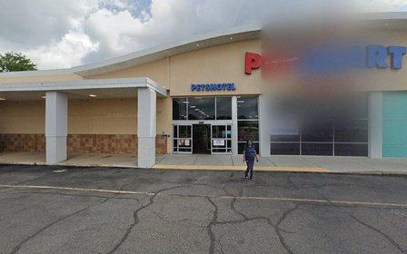 PetSmart Dog Training