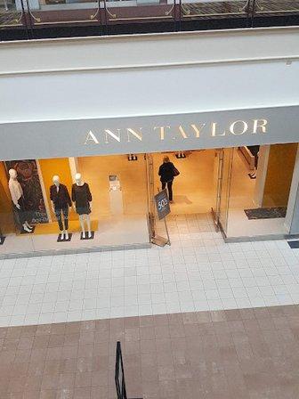Ann Taylor