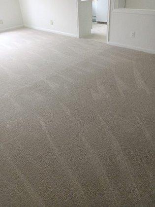 Alexandra Carpet Installation and Cleaning