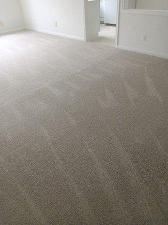 Alexandra Carpet Installation and Cleaning