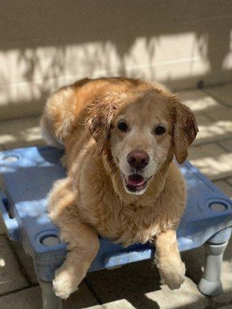 Stream Valley Veterinary Hospital