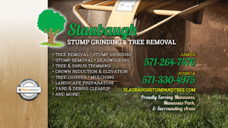 Slaubaugh Stump Grinding & Tree Removal