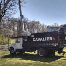 Cavalier Tree Service