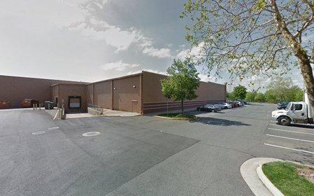 PetSmart Dog Training