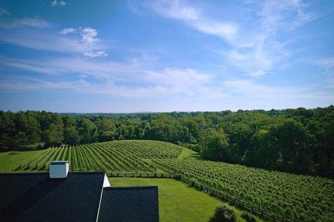 Iron Will Winery & Vineyard
