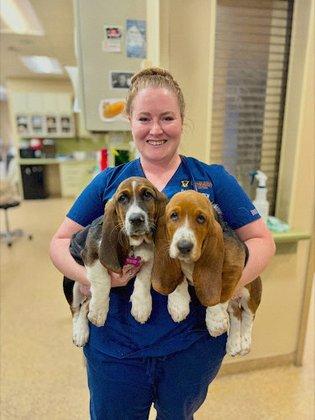 Dulles South Veterinary Center