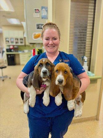 Dulles South Veterinary Center