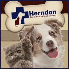 Herndon Animal Medical Center
