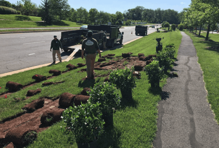 Blake Landscapes Inc