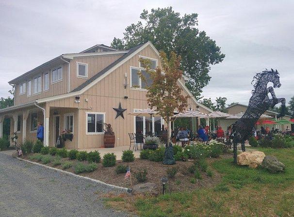 50 West Vineyards