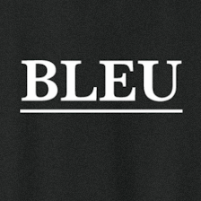 BLEU handyman & cleaning services LLC