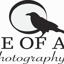 House of Amsel Photography
