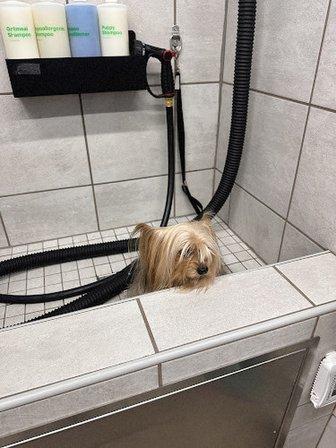 Pet Supplies Plus Sterling