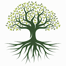 Falls Church Tree Service Company