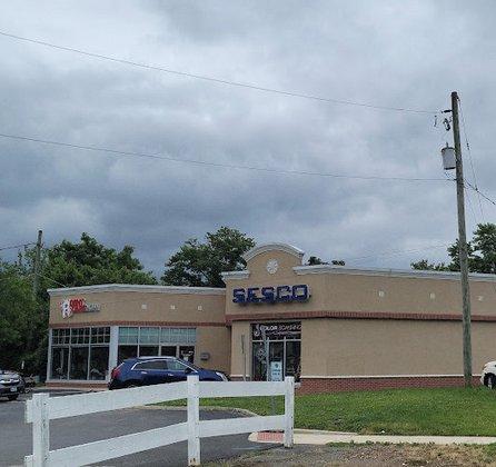 Sesco DSS