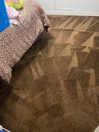 BCD Carpet & Upholstery