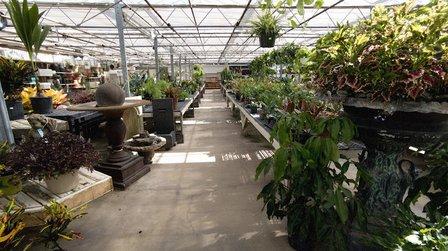 Blue Mount Nursery