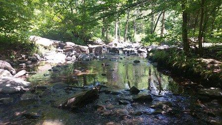 Runnymede Park