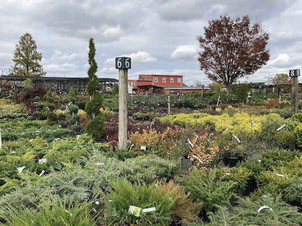 Meadows Farms Nurseries and Landscape
