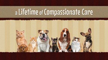Herndon Animal Medical Center