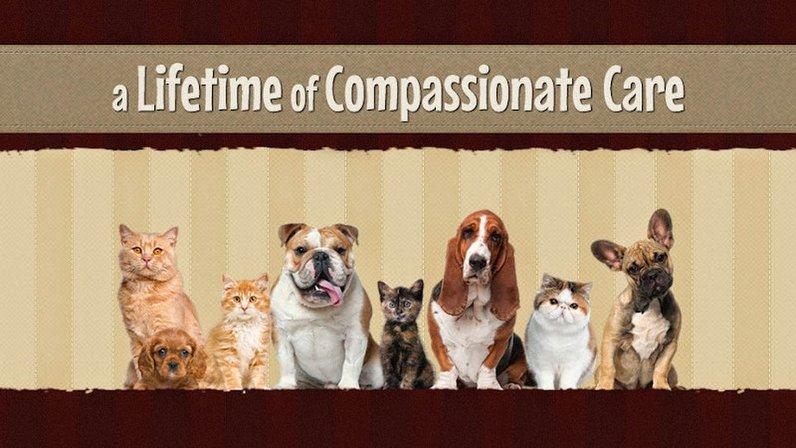 Herndon Animal Medical Center