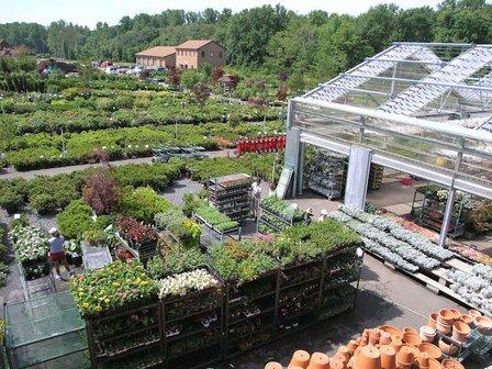 Merrifield Garden Center