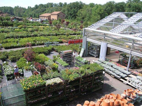 Merrifield Garden Center