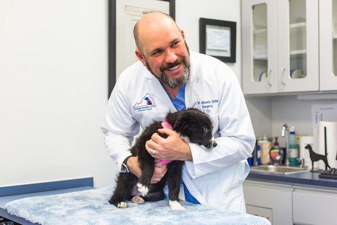 MedVet Northern Virginia
