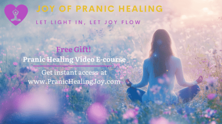 Joy of Pranic Healing Washington DC Metro