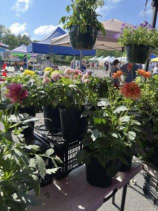 Cascades Farmers' Market
