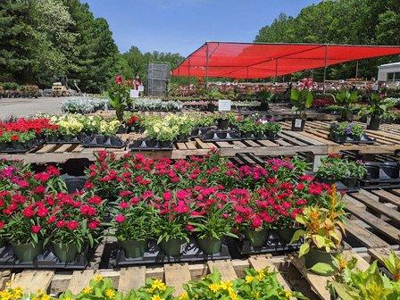 Meadows Farms Nurseries and Landscape
