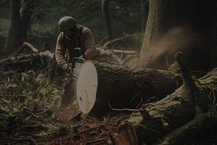 Falls Church Tree Service Company