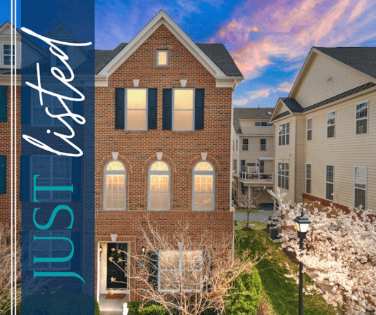 Laura Griffin, Real Estate Agent, Loudoun County