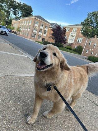 Barkley Square