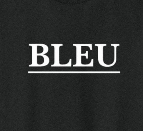 BLEU handyman & cleaning services LLC