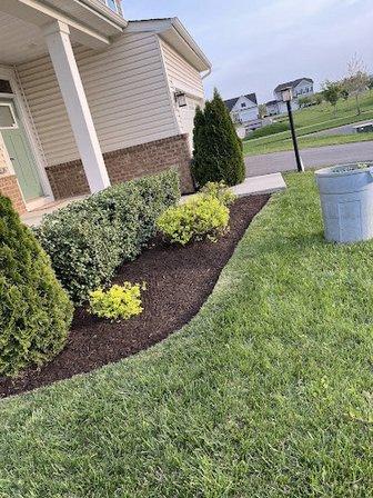 Abrego I Lawn care services