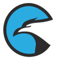 FalconTek SDVOSB GovCon Services Firm