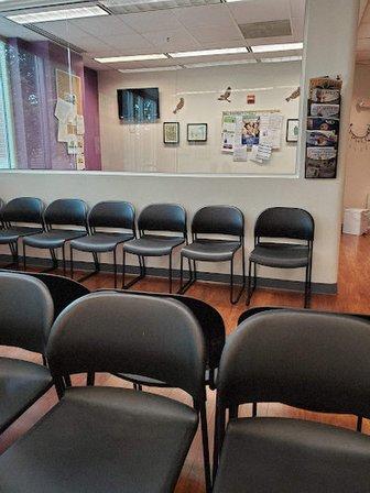 Capital Area Pediatrics - Falls Church