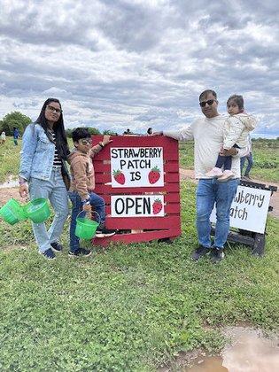 Lovework at Messick's Farm Market