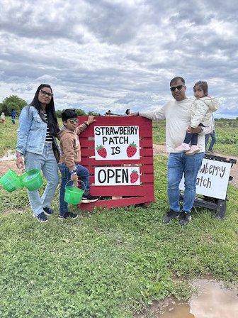 Lovework at Messick's Farm Market