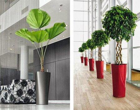 The Plant People