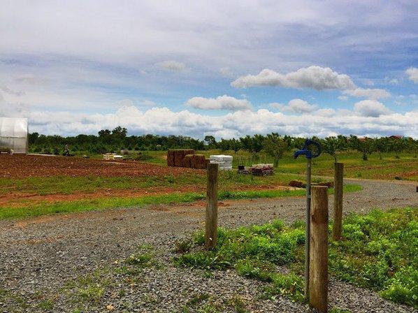 Brossman's Farm