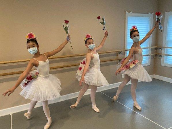 Ave Maria Academy of Ballet