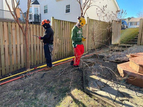 King Tree Services LLC