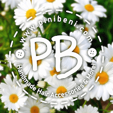 PiniBeni