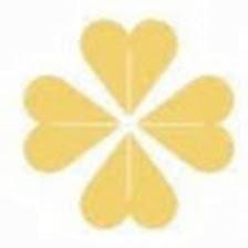 Clover Leaf Wealth Strategies
